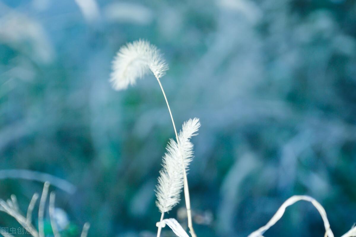 温暖的治愈系文案（特别暖心的治愈句子）