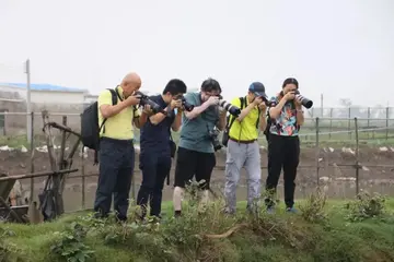 2022摄影活动方案模板（摄影策划方案范本）