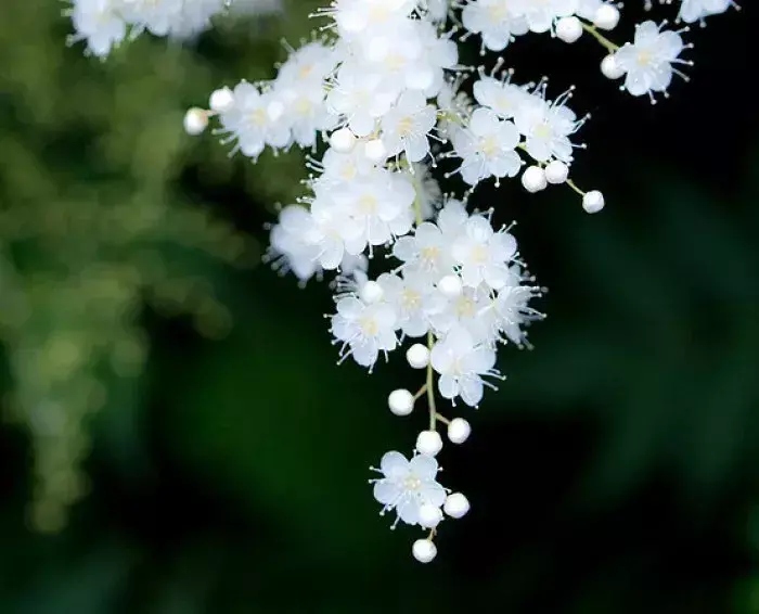 关于谷雨节气的经典古诗（谷雨节气的著名诗句）