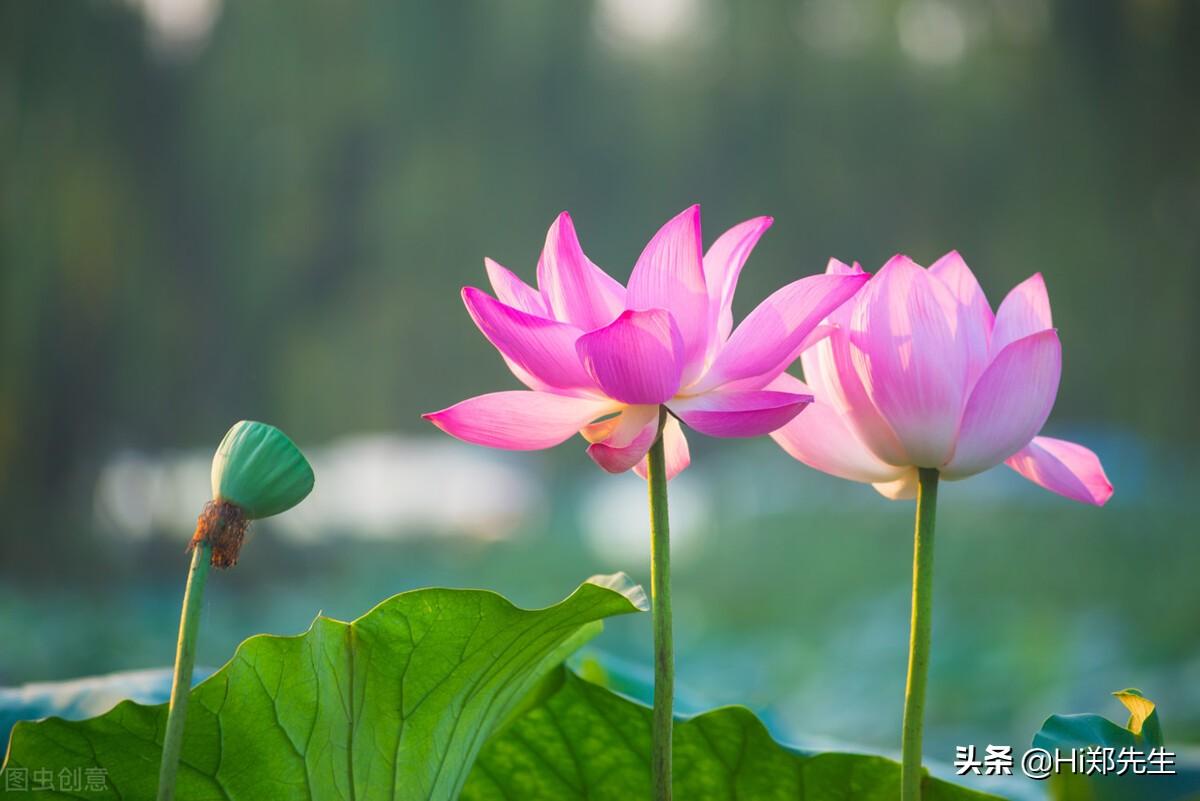 关于谷雨节气的经典古诗（谷雨节气的著名诗句）