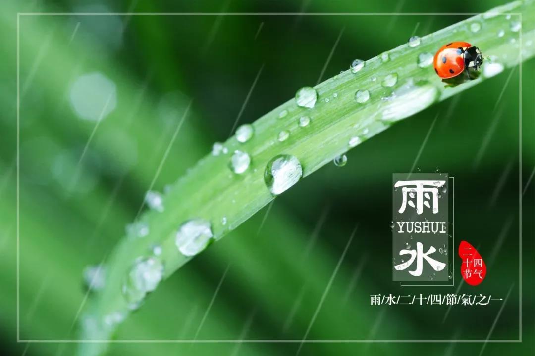 雨水节气的经典古诗（描写雨水节气的唯美诗句）