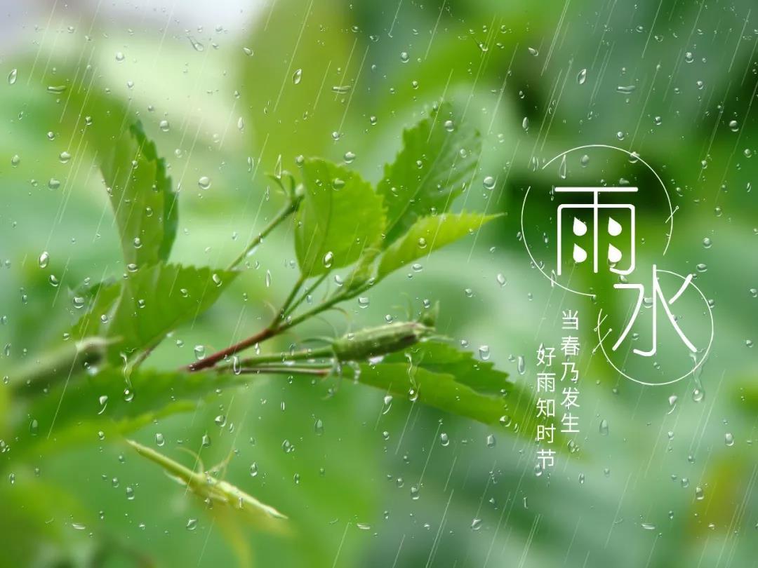 雨水节气的经典古诗（描写雨水节气的唯美诗句）