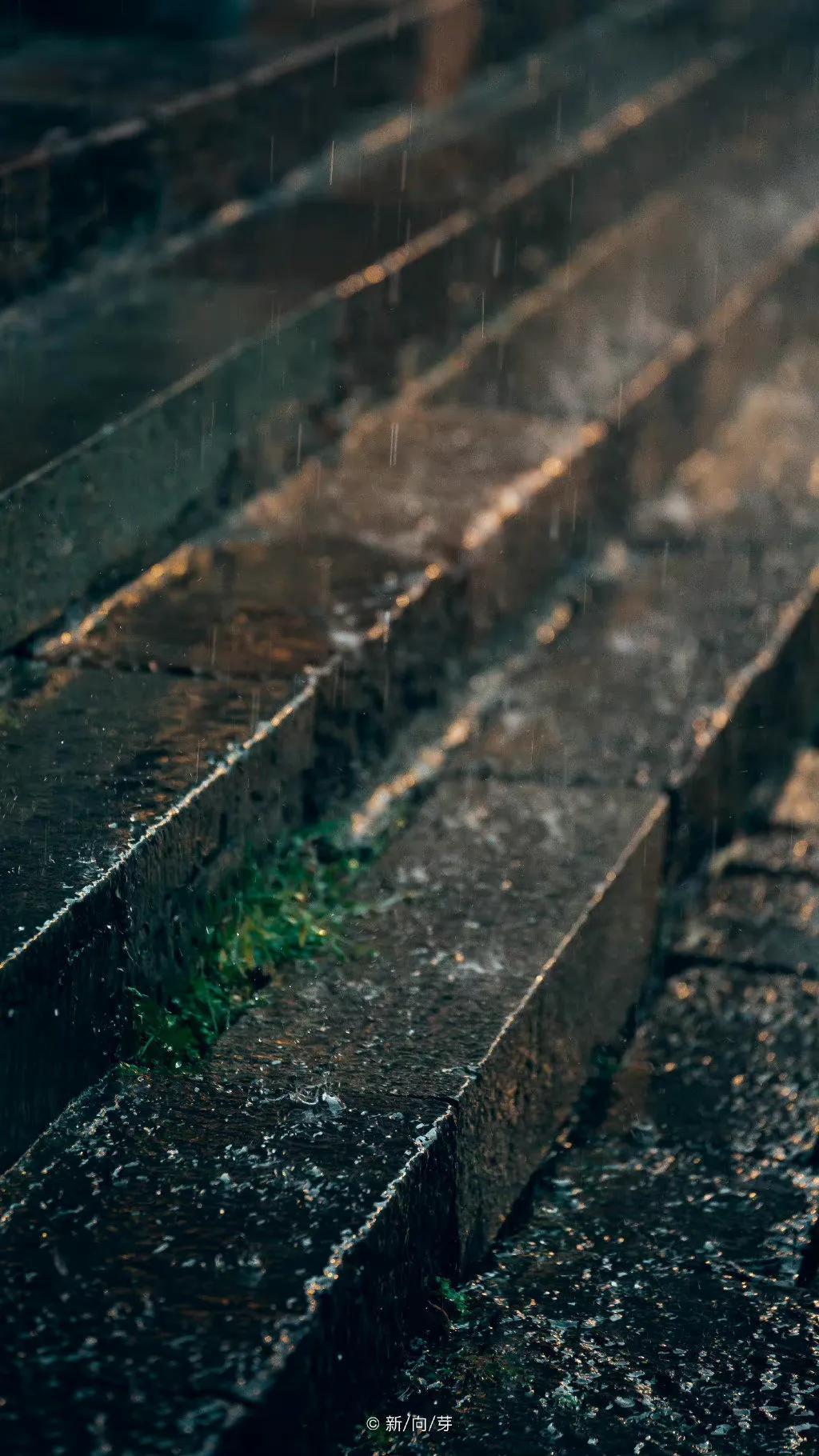 描写秋雨的古诗词（纳兰容若深情的秋雨词）