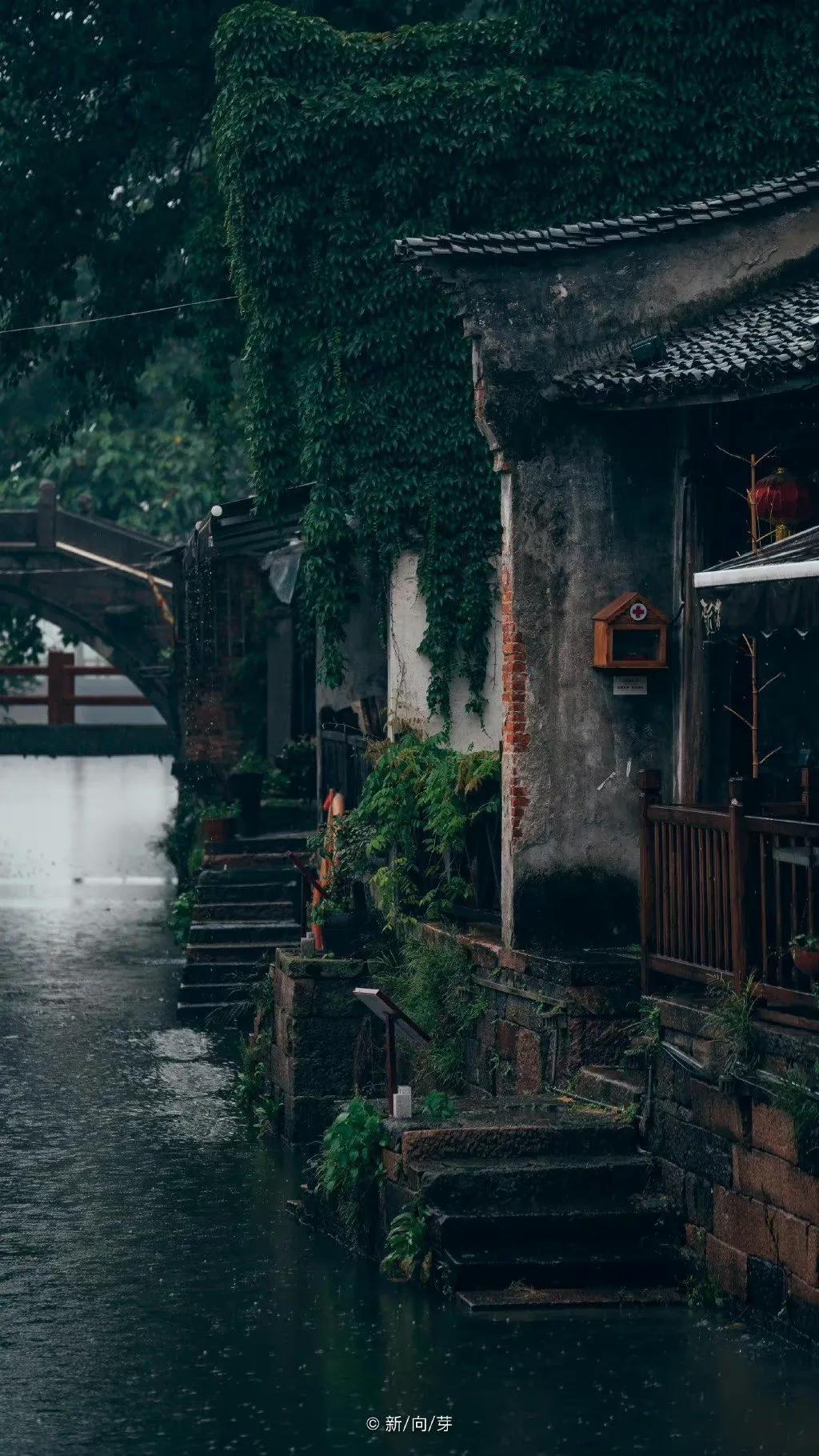 描写秋雨的古诗词（纳兰容若深情的秋雨词）