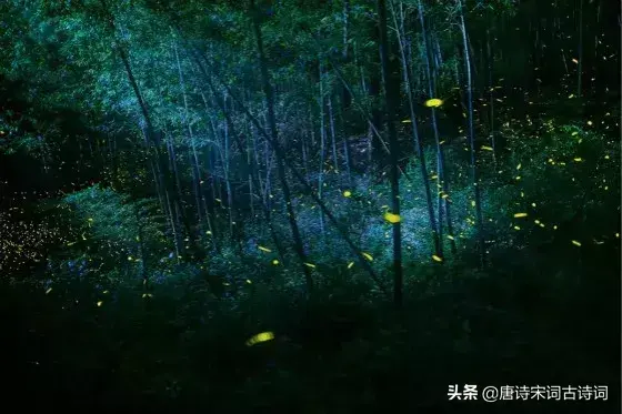 描写夏天夜晚的古诗词（15首夏夜诗词）