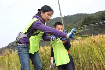 2022户外趣味亲子活动方案模板（户外亲子活动策划方案范本）