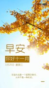 不要此生匆匆过，但求每日都成长（关于生活早安心语）