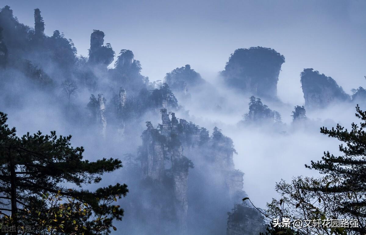 秋分诗词大全（关于秋分节气的经典古诗）