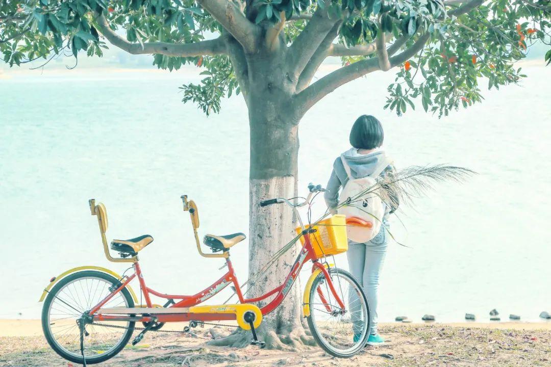 形容少年朝气的诗句（愿你走出半生，归来仍是少年）