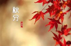 秋分节气祝福语（关于秋天美好问候句子精选）