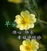 关于友情的经典语录（祝福朋友的美好心情句子）