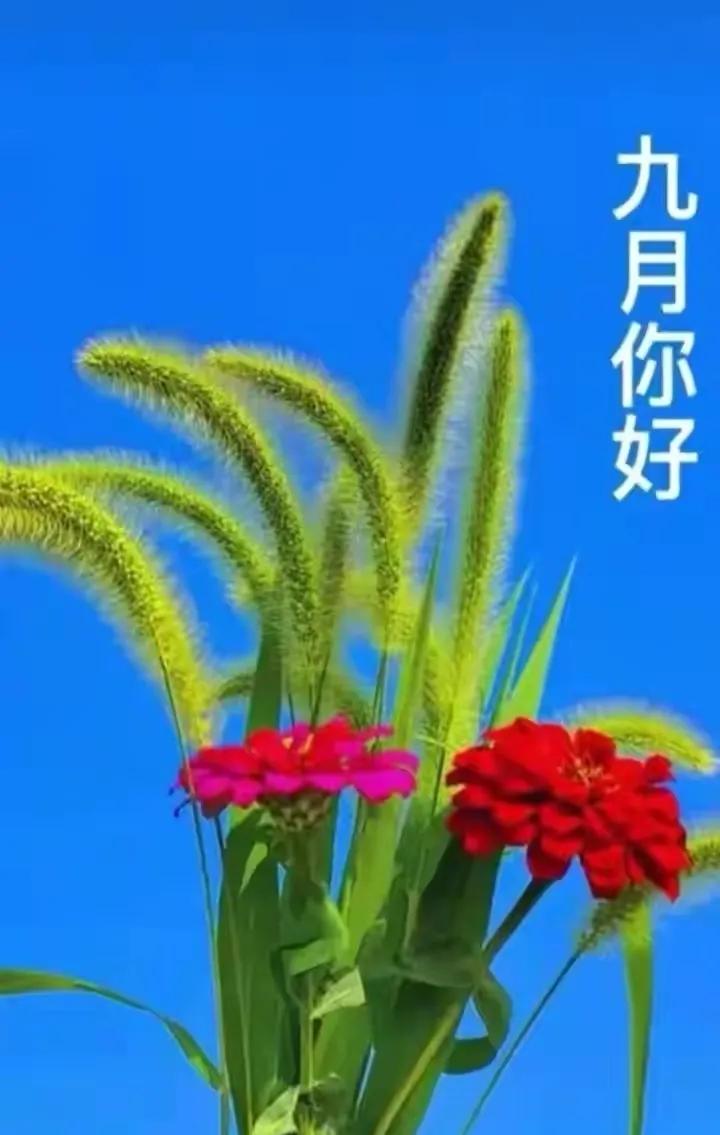 九月你好唯美句子文案（朋友圈问候祝福语）