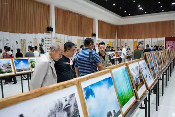 2022书画展活动方案模板（书画展策划方案范本）