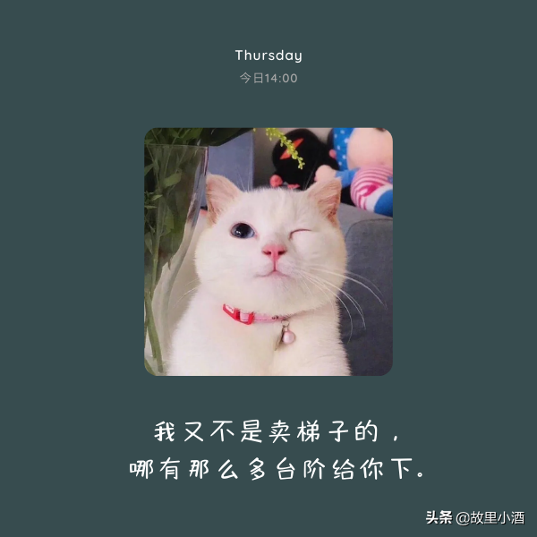 日常怼好友的句子（有涵养的怼人短句）