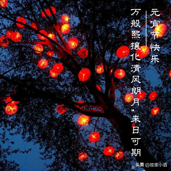 好梦皆圆，祸患全消（元宵节祝福语大全）