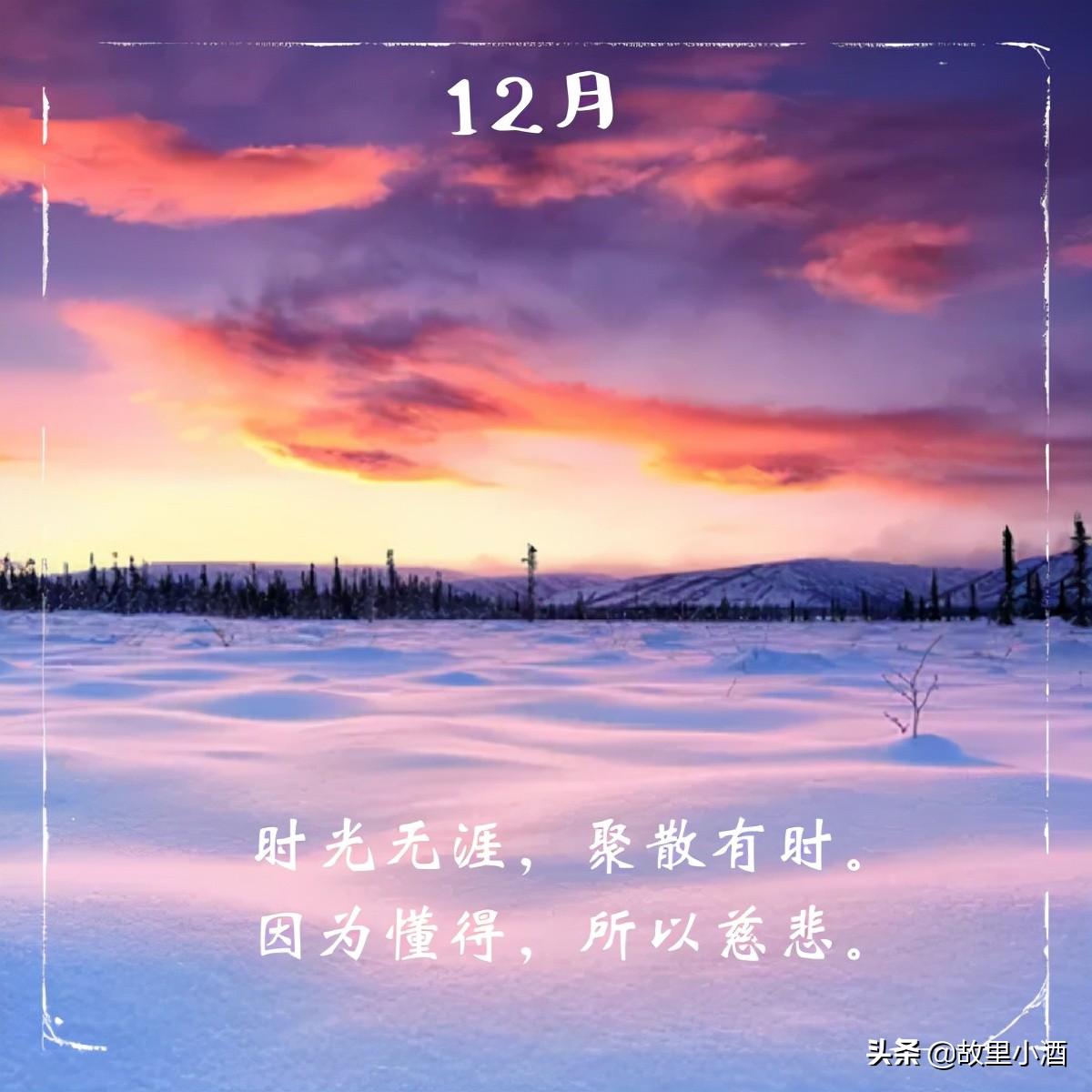 春观夜樱，夏望繁星（令人惬意的句子）