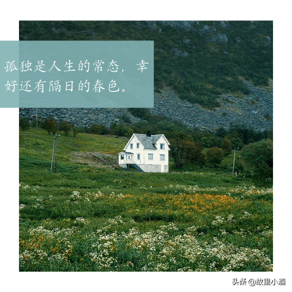 每一程都是风景，每一念都可以从容（温馨而又美好的句子）