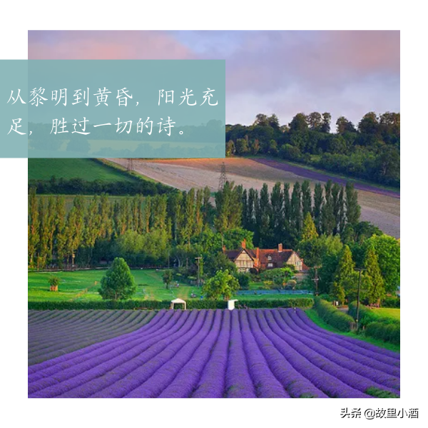 每一程都是风景，每一念都可以从容（温馨而又美好的句子）