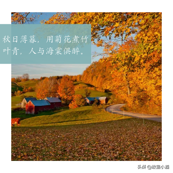 每一程都是风景，每一念都可以从容（温馨而又美好的句子）