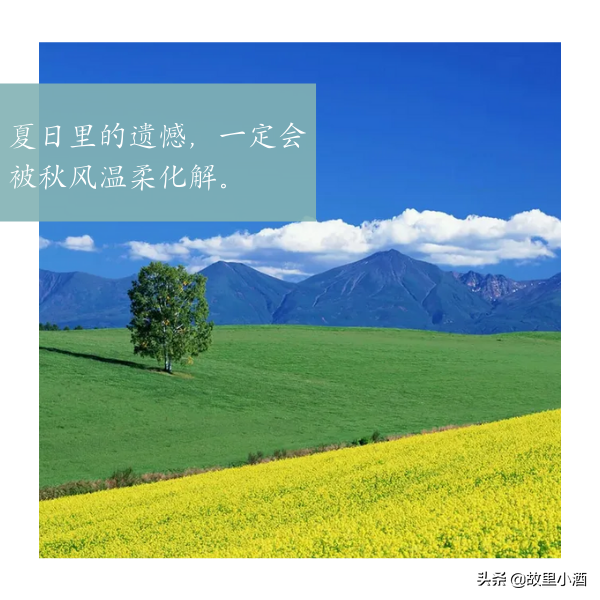 每一程都是风景，每一念都可以从容（温馨而又美好的句子）