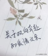 双向奔赴的爱情句子（浪漫的爱情文案）