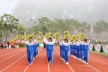 有关逐梦青春的作文800字（逐梦的青春永无终点精选范例）