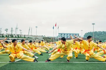 有关赞美青春的作文800字（蓬勃朝气的青春精选范例）