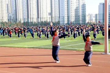 有关青春的样子作文800字（青春的美好模样精选范例）