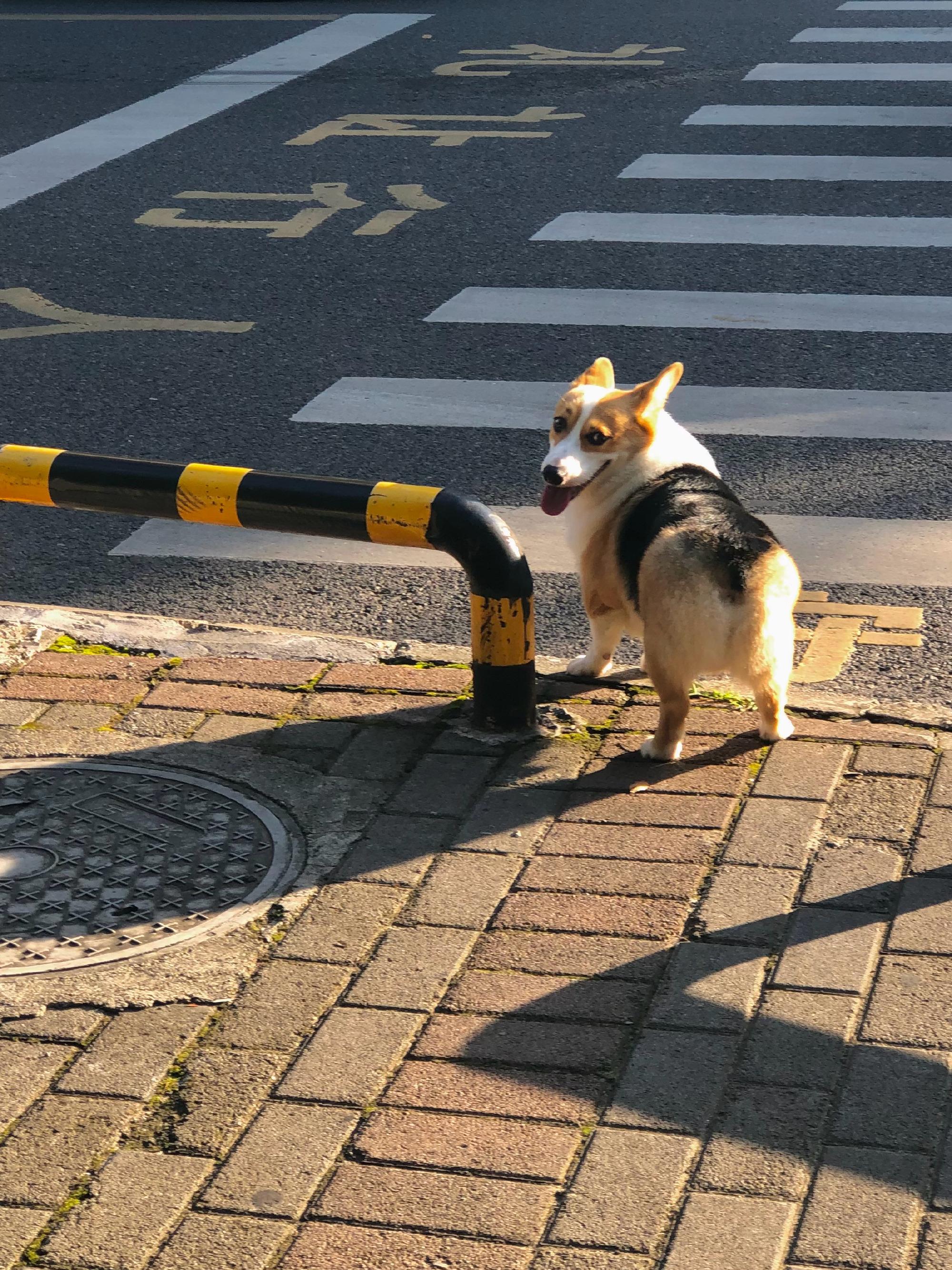 非常治愈的日常生活文案（关于生活的走心句子）