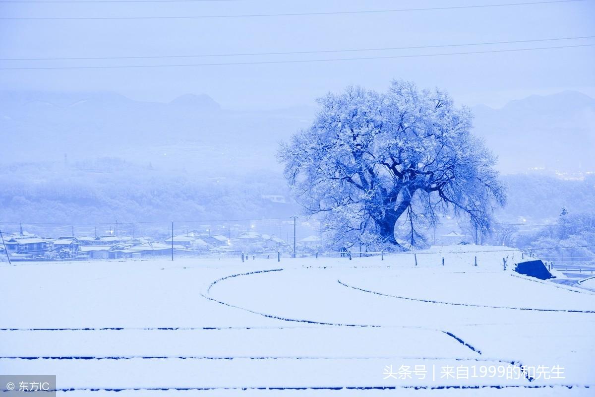 晚来天欲雪，能饮一杯无（描写冬天的诗句赏析）