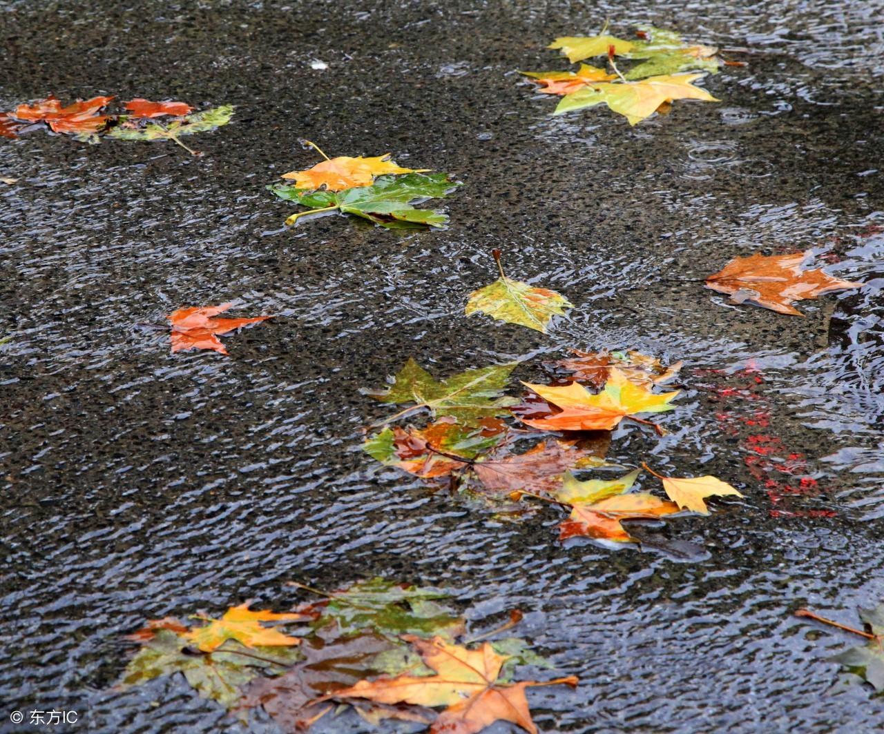 秋雨时节雨纷纷（描写秋雨的九首诗词）