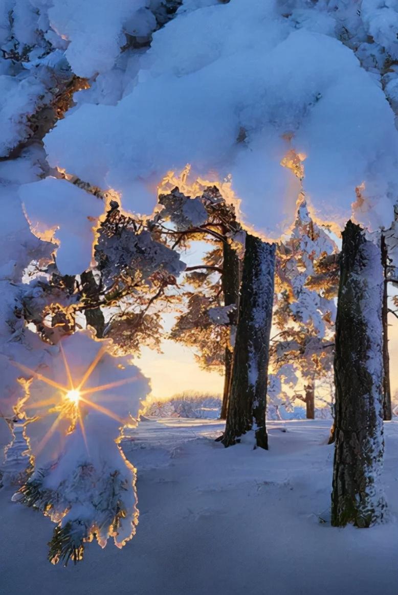 关于雪的古诗词有哪些（十二首雪景的诗词）