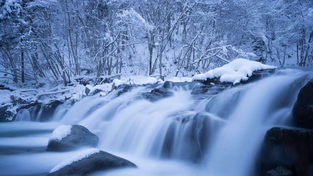 关于雪的古诗词有哪些（十二首雪景的诗词）