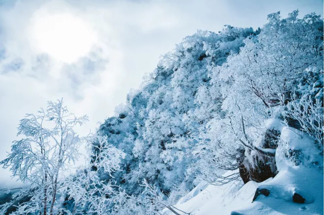 有关雪后景色的诗词（咏雪诗词大全）