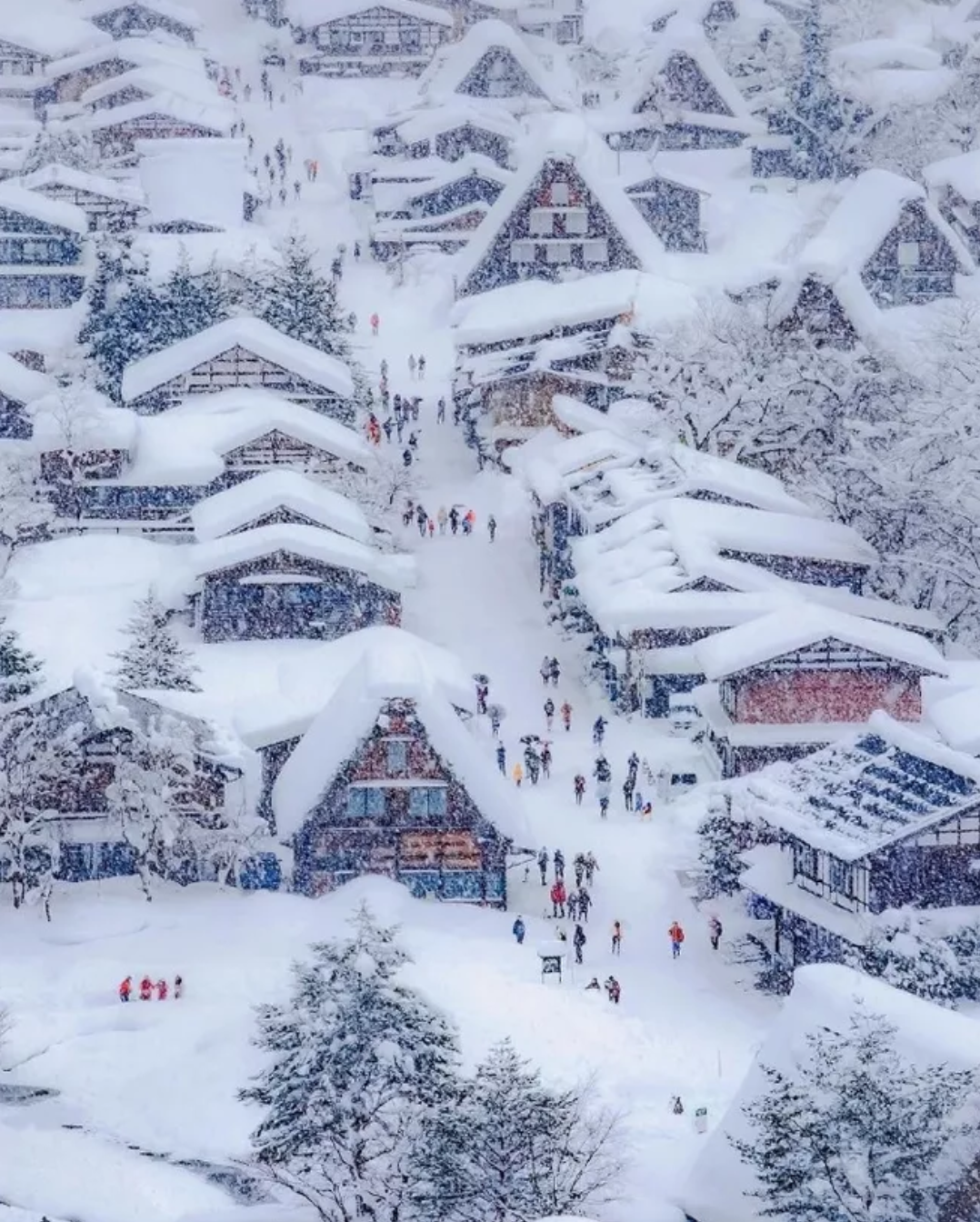 有关雪后景色的诗词（咏雪诗词大全）