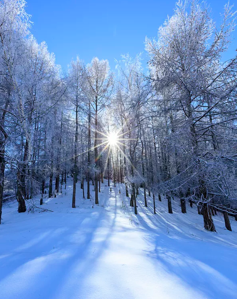 有关雪后景色的诗词（咏雪诗词大全）