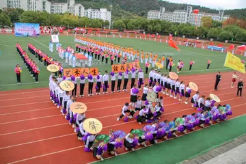 有关遇见青春的作文800字（青春你好精选范例）