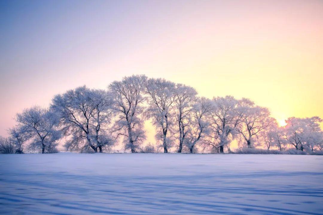 赞美雪的七言绝句（十首唯美雪景诗词）