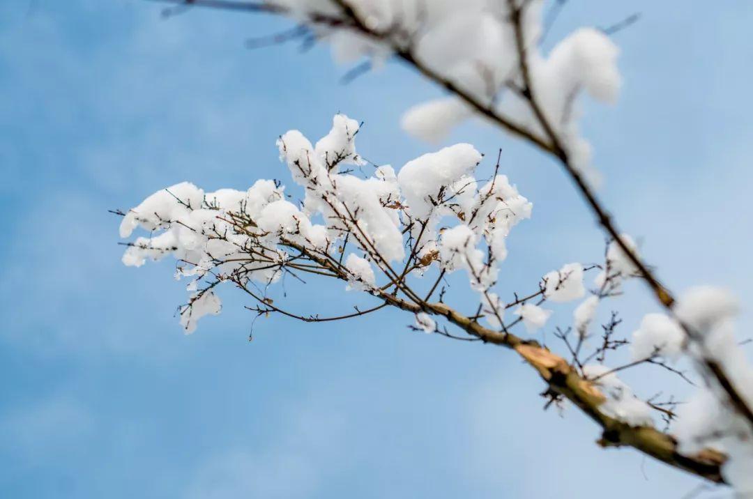 赞美雪的七言绝句（十首唯美雪景诗词）