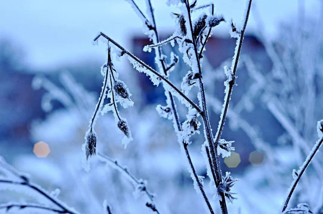 赞美雪的七言绝句（十首唯美雪景诗词）