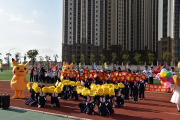 磨砺让青春更靓丽作文精选（关于磨砺青春的作文范例）