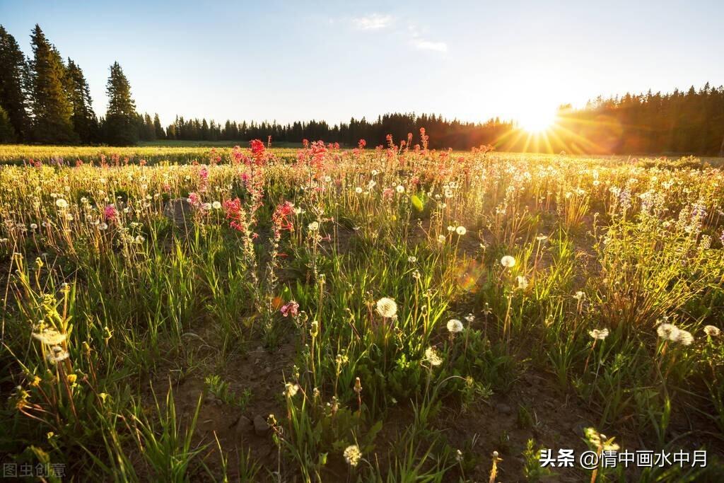 火爆朋友圈的人生哲理（正能量人生哲理格言）