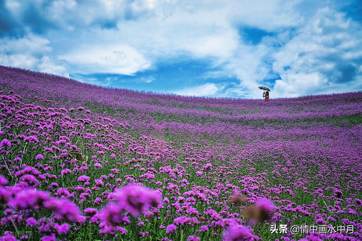 关于治愈心灵的情感句子（被人守望，也是一种幸福）