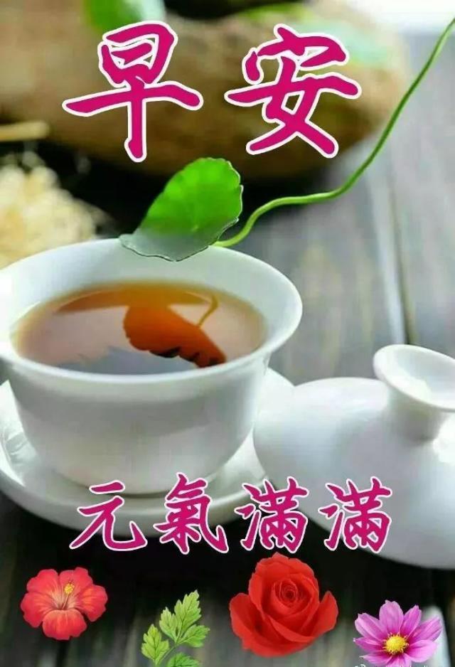 让人惊艳的早安句子（高情商早安文案）