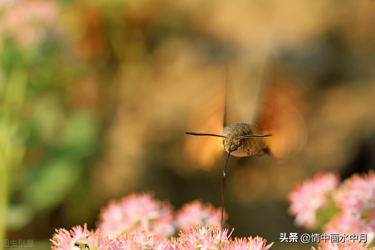 我们珍惜一个人，一定是感动过（深入人心坎的感情句子）