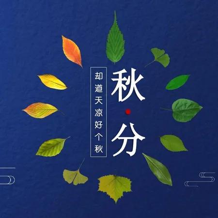 精选秋分节气的美好句子（秋分节气祝福语）