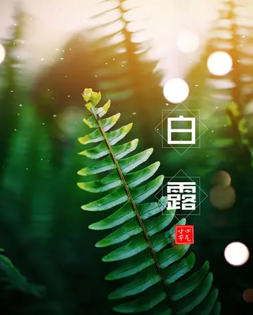 关于白露节气的祝福语（白露节气的朋友圈文案）