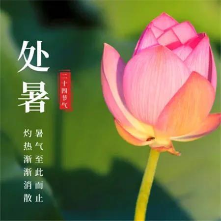 处暑节气的祝福句子（形容处暑的优美句子）