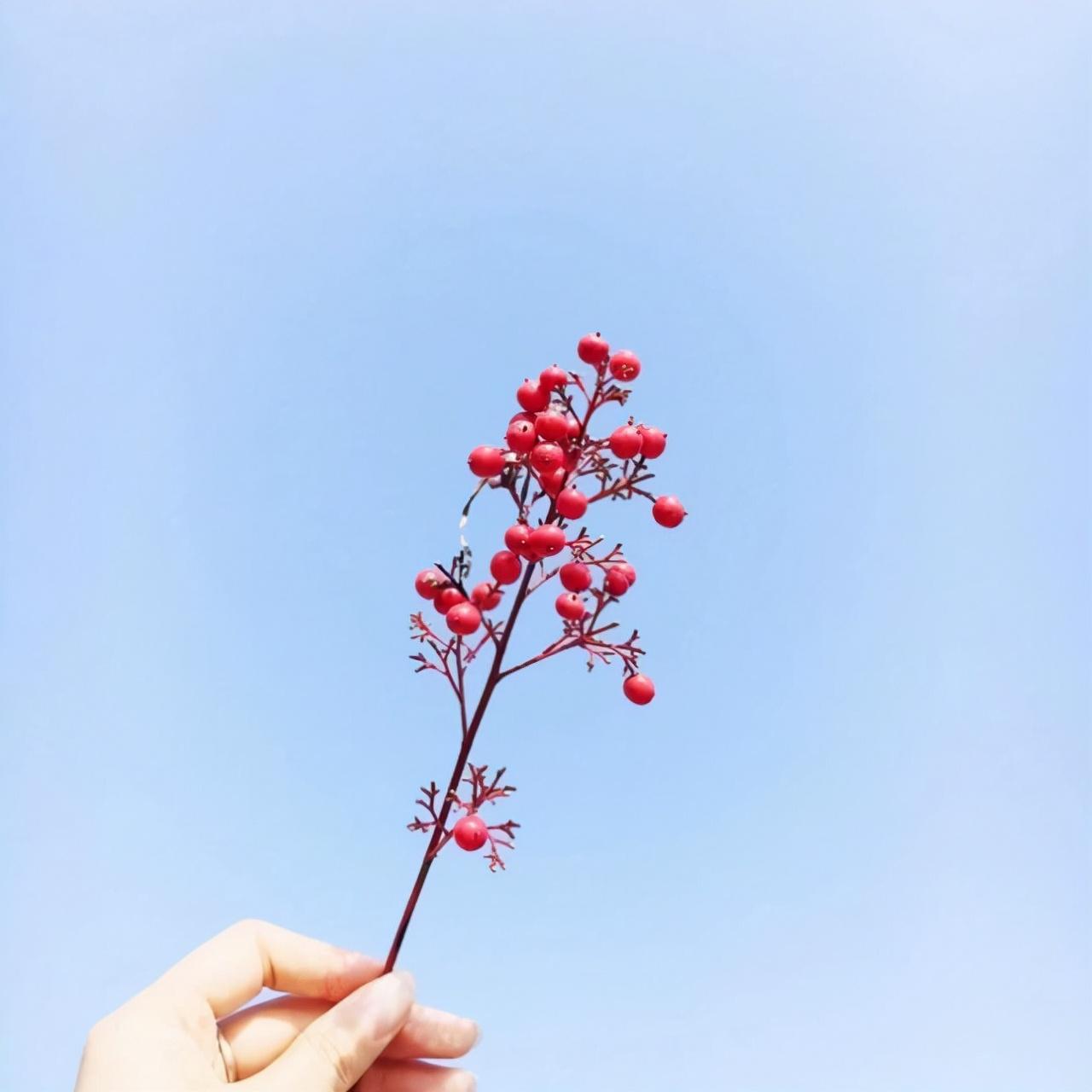 心情压抑的句子（心烦意乱的心情文案）