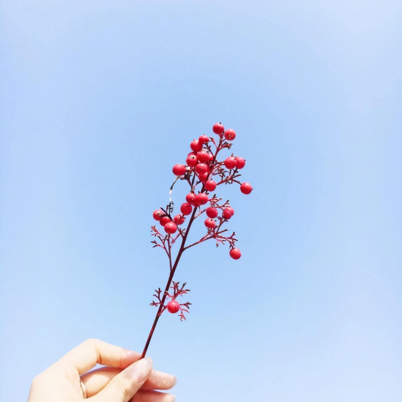 甜蜜暖心的表白短句（适合表白的浪漫句子）